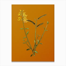 Vintage Spanish Broom Botanical on Sunset Orange n.0815 Canvas Print