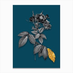 Vintage Boursault Rose Black and White Gold Leaf Floral Art on Teal Blue n.0149 Canvas Print