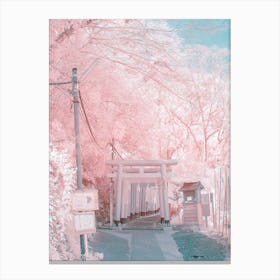 Infrared Photography Canvas Print