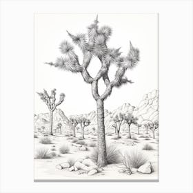  Detailed Drawing Of A Joshua Trees In Mojave Desert 2 Canvas Print