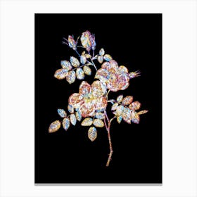 Stained Glass Austrian Briar Rose Mosaic Botanical Illustration on Black n.0045 Canvas Print