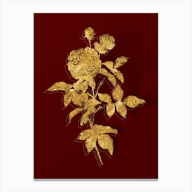 Vintage One Hundred Leaved Rose Botanical in Gold on Red n.0058 Canvas Print