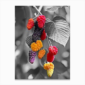 Raspberry on the tree Canvas Print