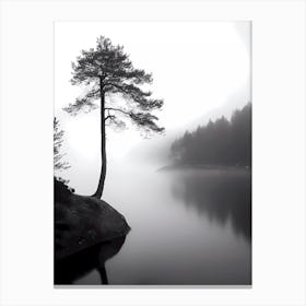 Lone Tree In Mist Canvas Print