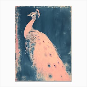 Pink & Blue Cyanotype Peacock Portrait Canvas Print