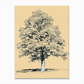 Oak Tree Minimalistic Drawing 2 Canvas Print