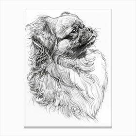 Pekingese Dog Line Sketch 2 Canvas Print