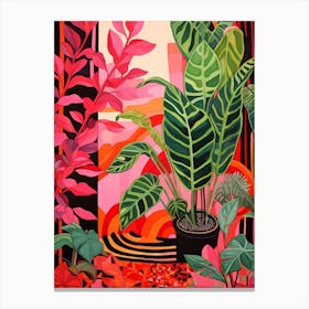 Pink And Red Plant Illustration Calathea 2 Canvas Print