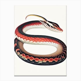 Coral Snake 1 Vintage Canvas Print