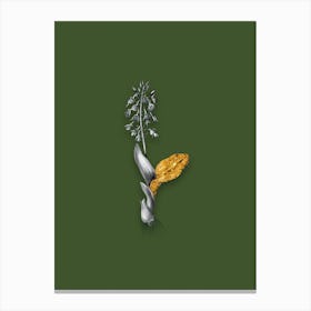 Vintage Brown Widelip Orchid Black and White Gold Leaf Floral Art on Olive Green Canvas Print