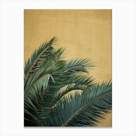 Golden Palms Canvas Print