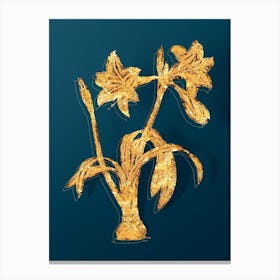 Vintage Brazilian Amaryllis Botanical in Gold on Teal Blue n.0169 Canvas Print