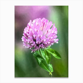 Purple Clover Canvas Print