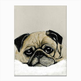 Pug Dog Toile