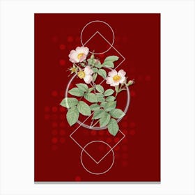 Vintage Short Styled Field Rose Botanical with Geometric Line Motif and Dot Pattern n.0031 Canvas Print