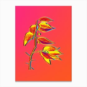 Neon European Nettle Tree Botanical in Hot Pink and Electric Blue n.0035 Canvas Print