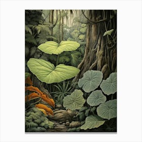 Vintage Jungle Botanical Illustration Taro 3 Canvas Print