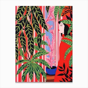 Pink And Red Plant Illustration Chinese Evergreen 1 Canvas Print