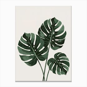 Modern Monstera Canvas Art: Rich green Monstera leaves with bold split patterns. A statement piece for contemporary botanical decor enthusiasts. Canvas Print