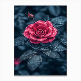 Red Rose With Raindrops Canvas Print