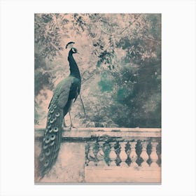 Vintage Cyanotype Inspired Of A Peacock On The Balcony Canvas Print