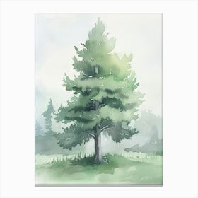 Cedar Tree Atmospheric Watercolour Painting 3 Canvas Print