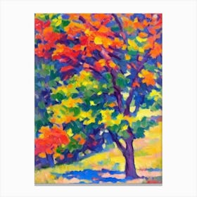 Norway Maple tree Abstract Block Colour Canvas Print