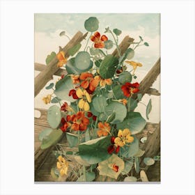 Nasturtiums 1 Canvas Print