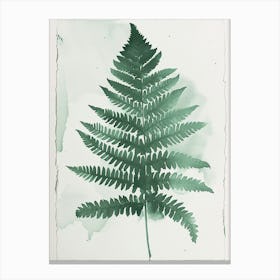Green Ink Painting Of A Marsh Fern 2 Canvas Print