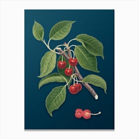 Vintage Sour Cherry Botanical Art on Teal Blue n.0855 Canvas Print