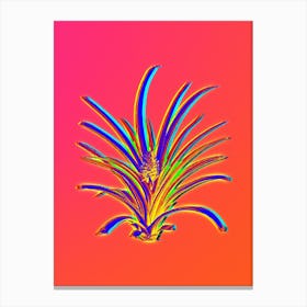 Neon Pineapple Botanical in Hot Pink and Electric Blue n.0180 Canvas Print
