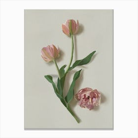 Pink Tulips Toile