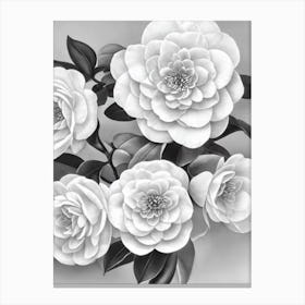 Camellia B&W Pencil 1 Flower Canvas Print
