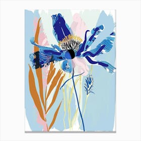 Colourful Flower Illustration Cornflower 2 Canvas Print