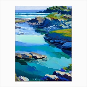 Tidal Pools Waterscape Impressionism 1 Canvas Print