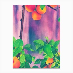 Apricot Risograph Retro Poster Fruit Canvas Print