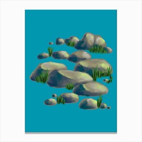 Rocks And Grass Canvas Print