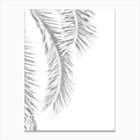 Palm Leaves Silver in Canvas Print