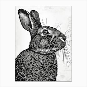 Cinnamon Blockprint Rabbit Illustration 3 Canvas Print
