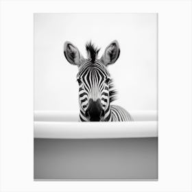 Zebra In A Tub Canvas Print