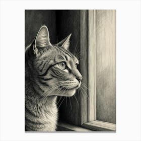 Cat Looking Out The Window 3 Canvas Print