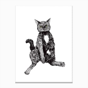 Chunky Cat Canvas Print