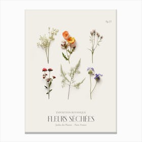 Fleurs Sechees, Dried Flowers Exhibition Poster 22 Canvas Print