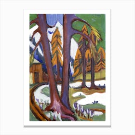 Mountain Early Spring With Larchen Canvas Print