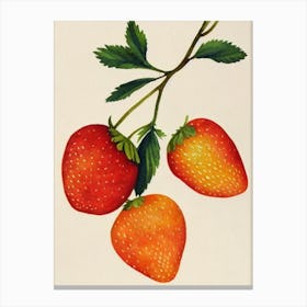 Strawberry Watercolour Fruit Painting Fruit Canvas Print