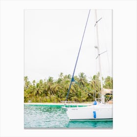 Boat And Beach Canvas Print