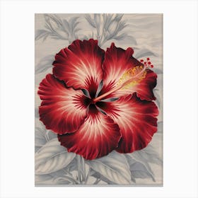 Hibiscus 22 Canvas Print