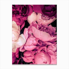 Peonies X Canvas Print