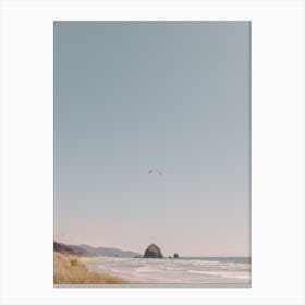 Oregon Coast Seagull Canvas Print