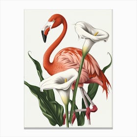 Lesser Flamingo And Calla Lily Minimalist Illustration 4 Canvas Print